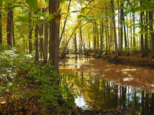 Coldstream -  Karen D